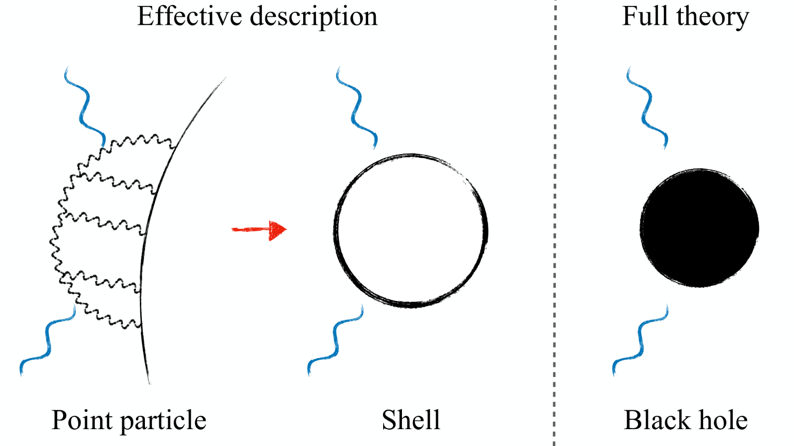 Sketch: point particle with loop corrections, a shell, and a black hole responding to waves